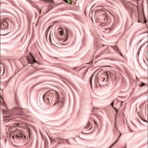 Meet your Posher, Crystal